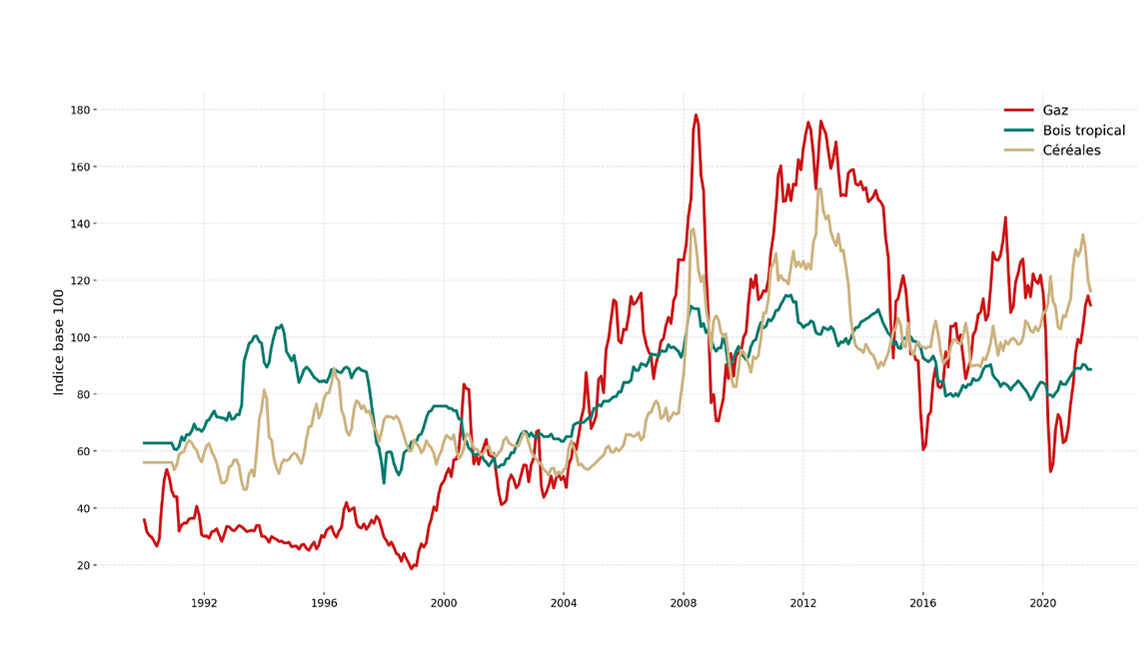 Graphique : indice base 100 du gaz, du bois tropical et des céréales, de 1990 à 2024. Le gaz est le plus volatil, avec des pics en 2008, 2012 et 2022.