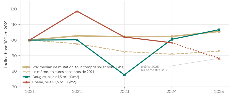 Graphique : indice base 100 en 2021 du prix médian de mutation, du même en euros constants, du douglas et du chêne de grosse bille, de 2021 à 2025