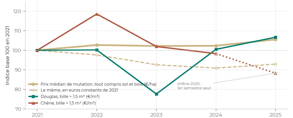 Graphique : indice base 100 en 2021 du prix médian de mutation, du même en euros constants, du douglas et du chêne de grosse bille, de 2021 à 2025