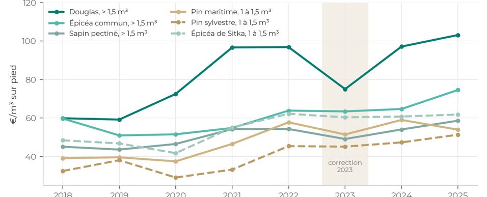 Graphique : prix en euros par mètre cube sur pied du douglas, de l'épicéa commun, du sapin pectiné, du pin maritime, du pin sylvestre et de l'épicéa de Sitka, de 2018 à 2025