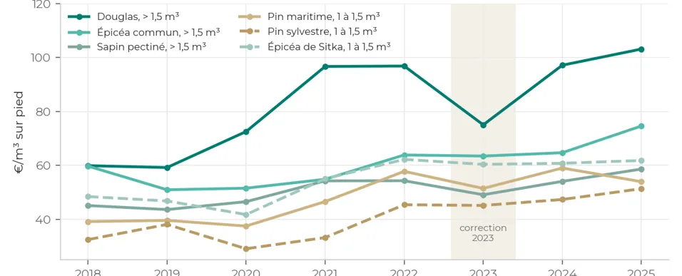 Graphique : prix en euros par mètre cube sur pied du douglas, de l'épicéa commun, du sapin pectiné, du pin maritime, du pin sylvestre et de l'épicéa de Sitka, de 2018 à 2025