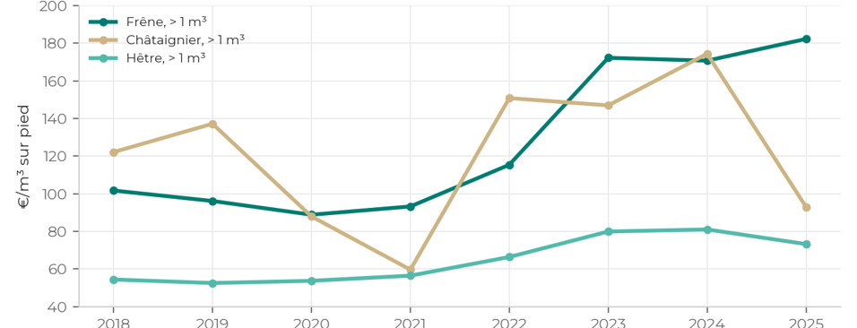 Graphique : prix du frêne, du châtaignier et du hêtre de bille de plus d'un mètre cube, en euros par mètre cube sur pied, de 2018 à 2025